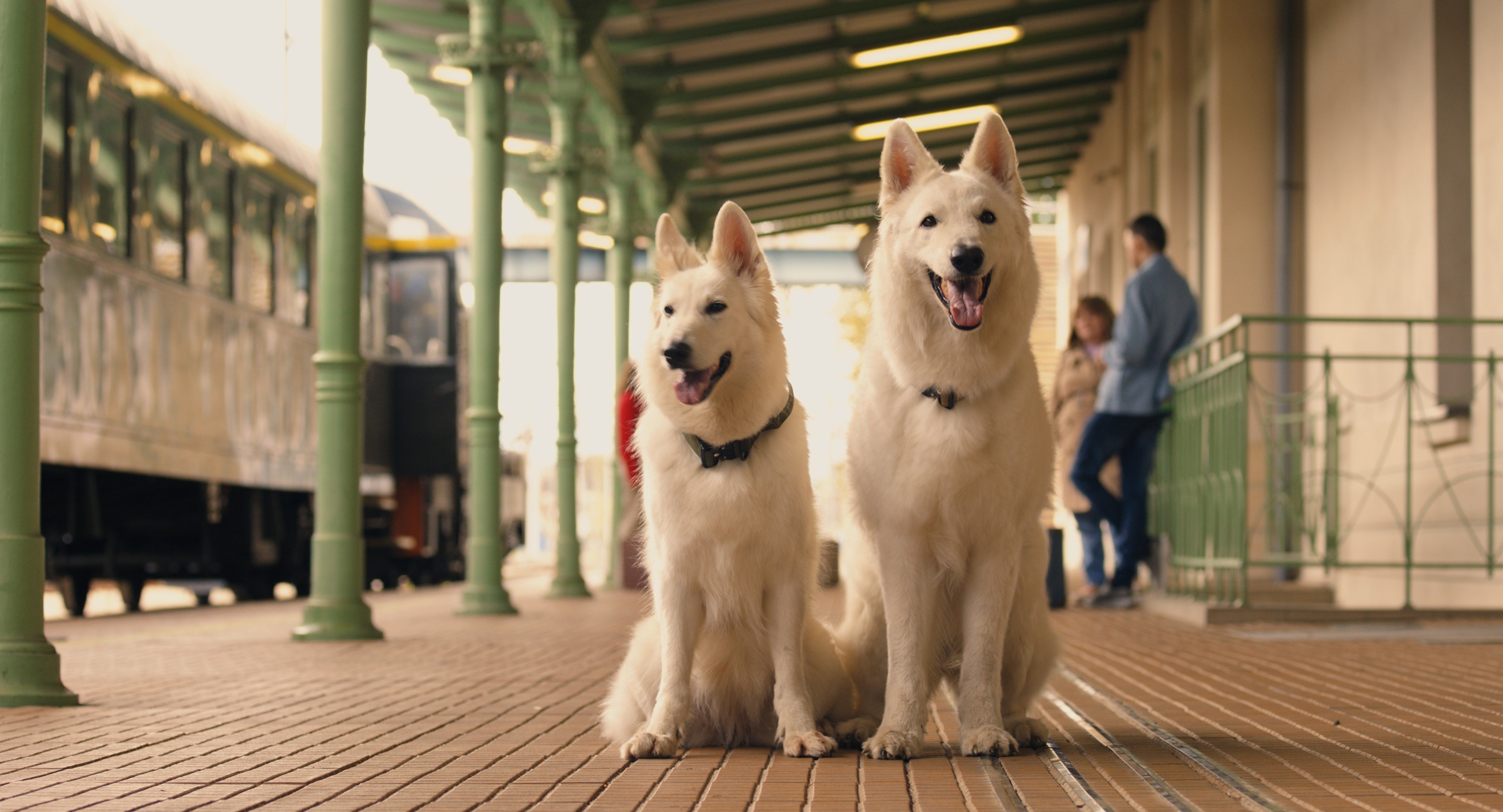 Kategoria wiekowa 6+